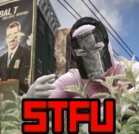 More information about "STFU"