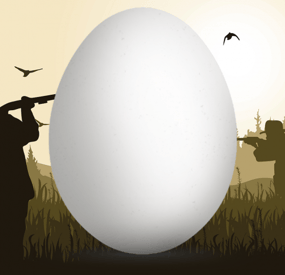 More information about "Eggs"