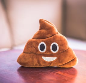 More information about "Player Poop"