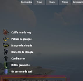More information about "Lang API"