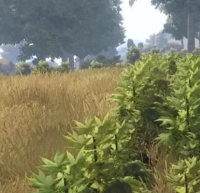 More information about "Nature"
