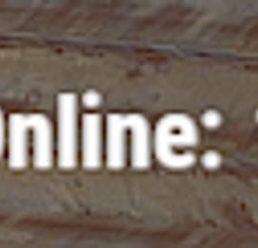 More information about "Online Counter"
