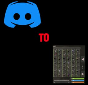 More information about "Discord to Skinbox"