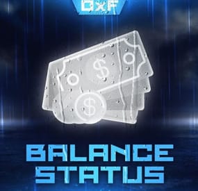 More information about "Balance Status"