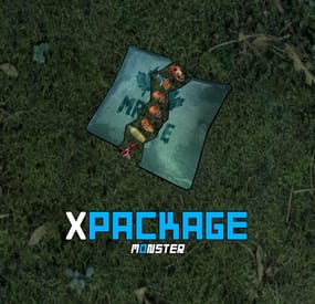 More information about "XPackage"