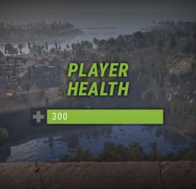 More information about "Player Health"