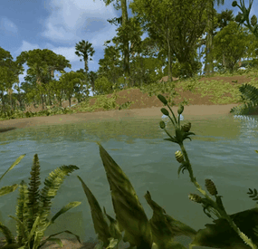 More information about "Jungle swamps +"