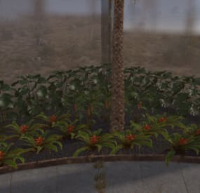 More information about "Map Decor"