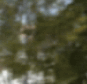 More information about "Santa's Villa"