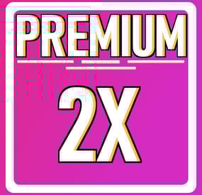 More information about "Premium 2x Server"