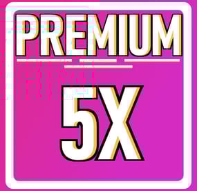 More information about "Premium 5x Server"
