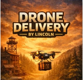 More information about "Drone Delivery"