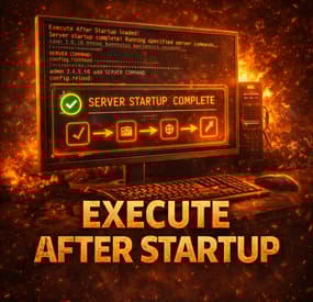More information about "Execute after Startup"