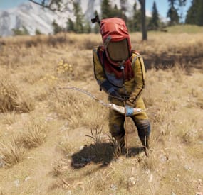 More information about "Chicken Bow"