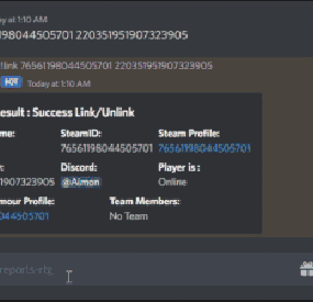 More information about "Discord Admin Panel"
