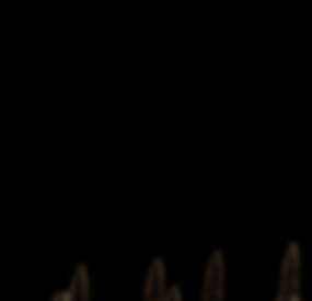 More information about "Bot Purge Event"