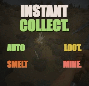 More information about "Instant Collect"