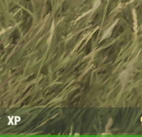 More information about "XP Bar for skills"