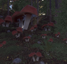 More information about "Mushroom Event"