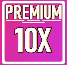 More information about "Premium 10x Server"