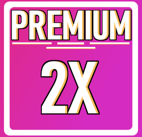 More information about "Premium 2x Server"