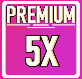 More information about "Premium 5x Server"