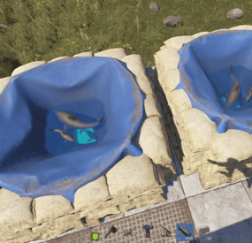 More information about "SharkFarm"