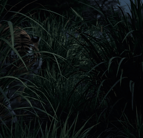 More information about "Beast Master - Gen 2 Update"