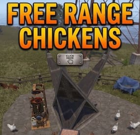 More information about "Free Range Chickens"