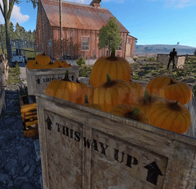More information about "Pumpkin Farm"