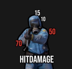 More information about "Hit Damage"