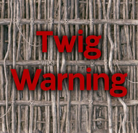 More information about "Twig Warning"