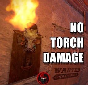 More information about "No Torch Damage"