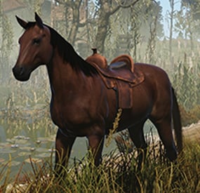 More information about "Npc Horses"