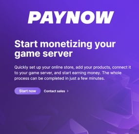 More information about "PayNow.gg Store"