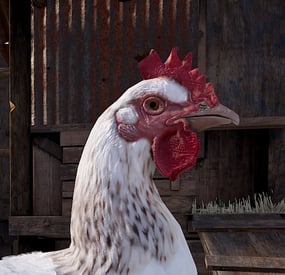 More information about "EggBox"