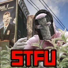 More information about "STFU"
