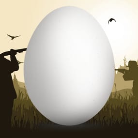 More information about "Eggs"