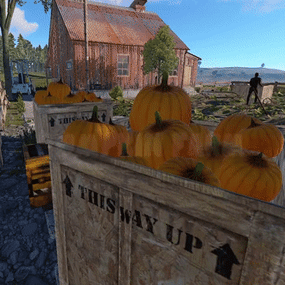 More information about "Pumpkin Farm"