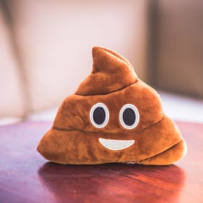 More information about "Player Poop"