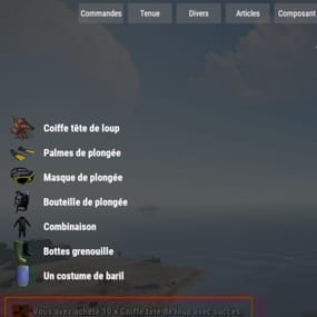More information about "Lang API"