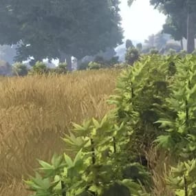 More information about "Nature"