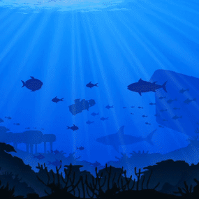 More information about "Barnacle Reef Custom Map"