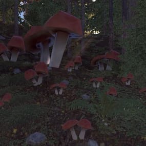 More information about "Mushroom Event"