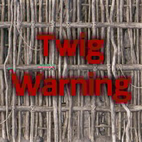 More information about "Twig Warning"