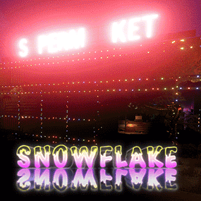 More information about "Snowflake"