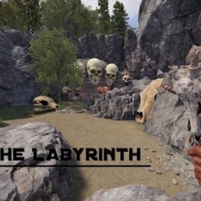 More information about "The Labyrinth"