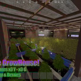 More information about "x3 Raidable Bases (God Clones) Farm"