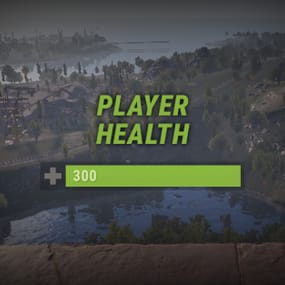 More information about "Player Health"