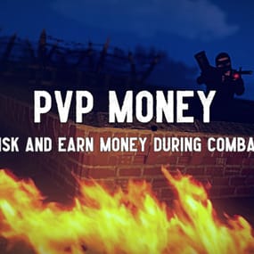 More information about "PVP Money"